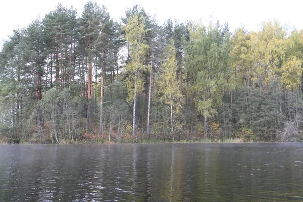 Sayısı büyük Gölü, su, orman, kıyı, ağaçlar