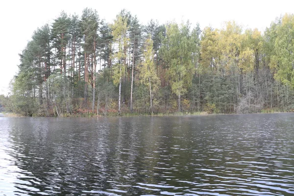 Vista dal grande lago, acqua, foresta, riva, alberi — Foto Stock