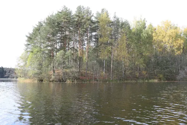 Vista dal grande lago, acqua, foresta, riva, alberi — Foto Stock