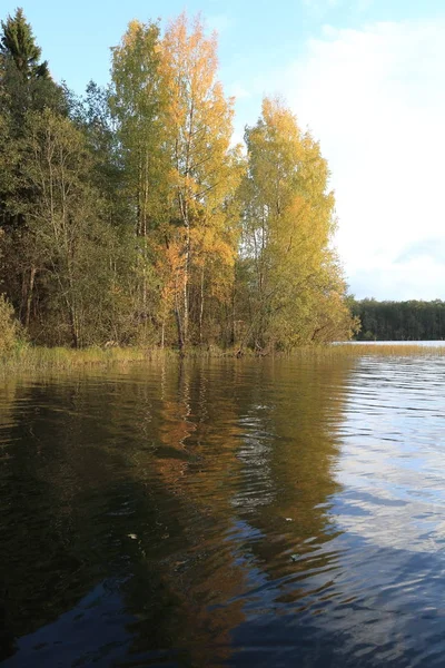 Vista dal grande lago, acqua, foresta, riva, alberi — Foto Stock