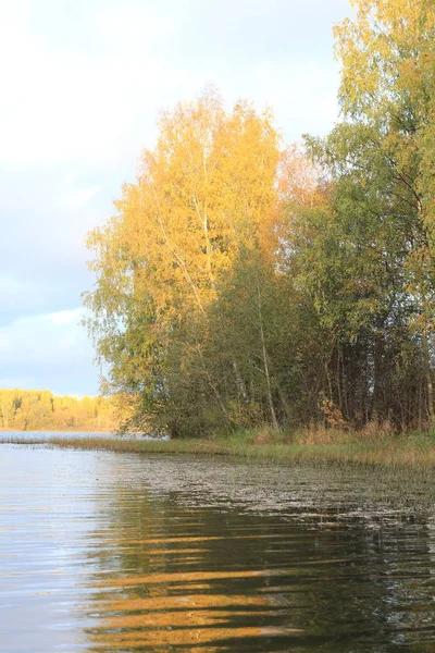 Uitzicht vanuit het grote meer, water, bos, oever, bomen — Stockfoto