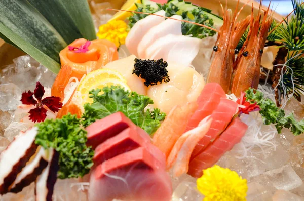 Sashimi Matsu büyük kase