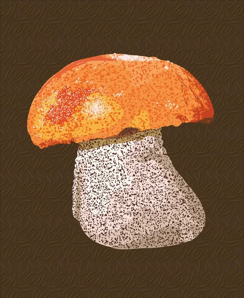 Champignon bolet détaillé — Image vectorielle