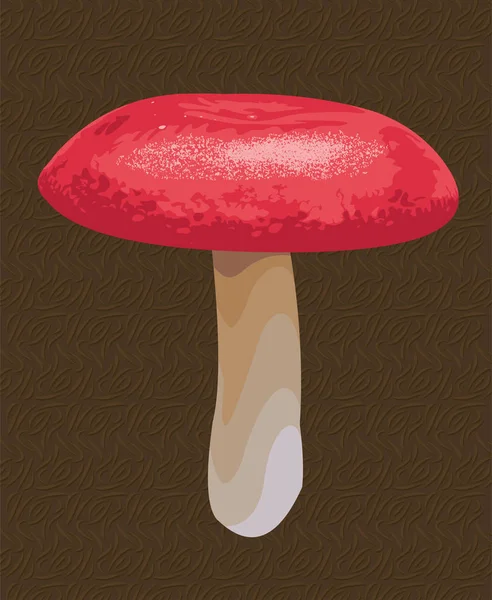 现实的红菇蘑菇 — 图库矢量图片
