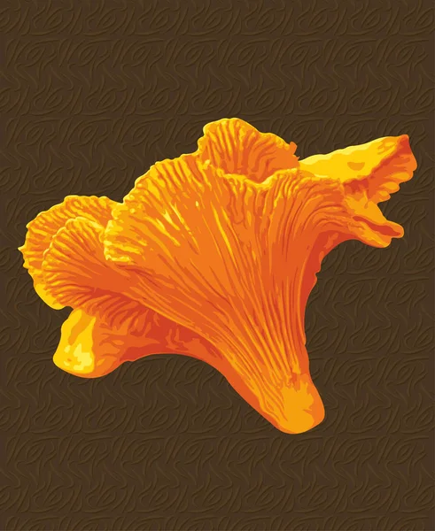 Bellissimi funghi finferli — Vettoriale Stock