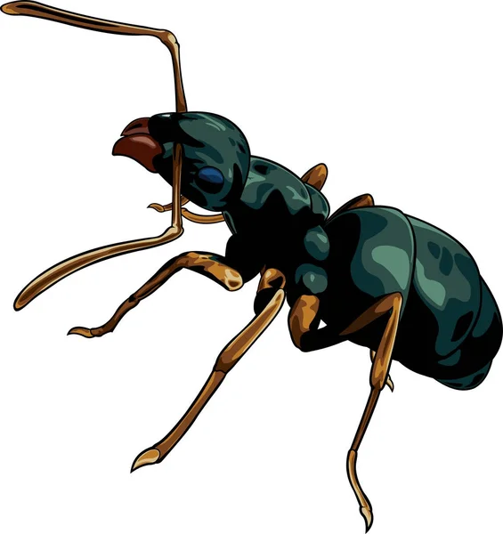 Мультфільм мураха працівник — стоковий вектор