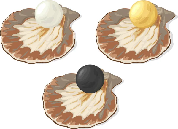 Trois Perles Brillantes Dessin Animé Blanc Doré Noir Intérieur Coquille — Image vectorielle