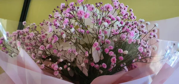 Beautiful, vivid, and beautiful pink flowers.