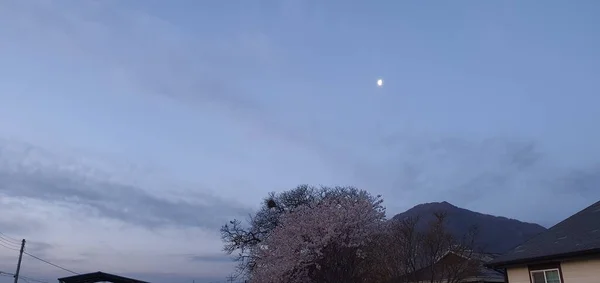 Krásné Nádherné Scenérie Kolem Nás — Stock fotografie