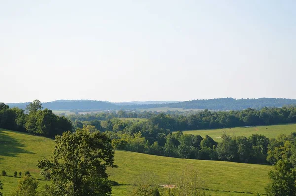 Paisagem Cênica de um Campo Verde Imagem De Stock