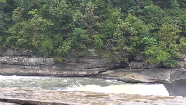 Cachoeiras na floresta — Vídeo de Stock