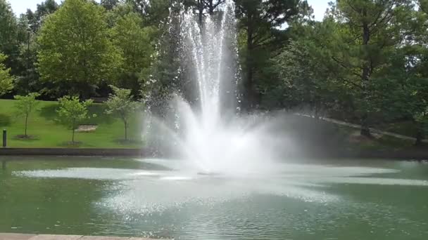 在一个小池塘里的喷泉 — 图库视频影像