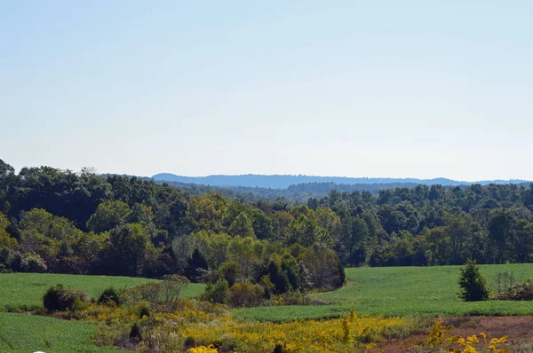 Schilderachtige landschap van de glooiende heuvels en weilanden — Stockfoto