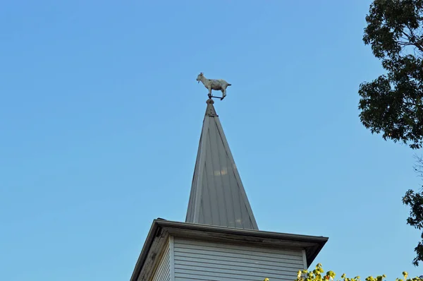 Bir keçi Ile bir kilise Steeple