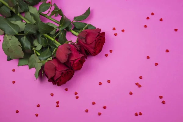 Όμορφο τριαντάφυλλο λουλούδι στον κήπο. Τριαντάφυλλο λουλούδι φόντο. Ροζ — Φωτογραφία Αρχείου