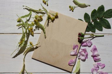 Bahar çiçek manzara. Bahar açan bahar çiçekleri bir whi