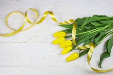 Lale tarlasında laleler. Parlak laleler. Bahar zamanı güzel laleler. Bahçede renkli laleler çiçek açıyor. Beyaz arka planda güzel laleler. Teyp. Pankart. Yukarıdan bak. Boşluğu kopyala