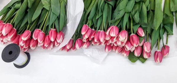 Tulips. Bright tulips. Beautiful tulips in spring time. Colorful tulips flower in the garden. Beautiful tulips on a white background. Place for text