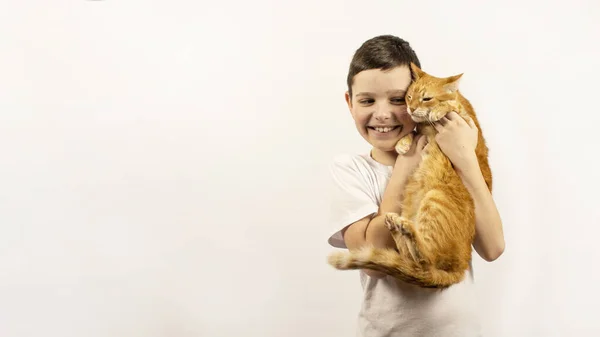 俄罗斯猫 头戴白色背景帽子 一个快乐快乐的男孩和宠物 那男孩抱着一只生姜猫 为孩子养的宠物 班纳意大利A — 图库照片