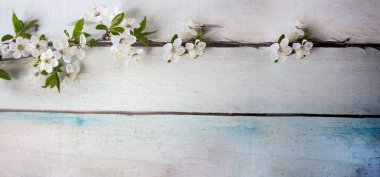 Spring flower landscape. Spring blooming spring flowers on a light background. Colorful spring flowers on a wooden background. Banner. Place for text clipart