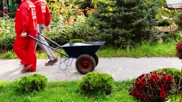 Bir Park Kamu Hizmetleri Gözlüğün Arkasında Temizleniyor Bahçe Temizliği — Stok video