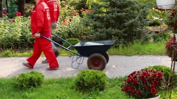 Ein Park Die Versorgungsdienste Werden Hinter Den Kulissen Aufgeräumt Gartenreinigung — Stockvideo