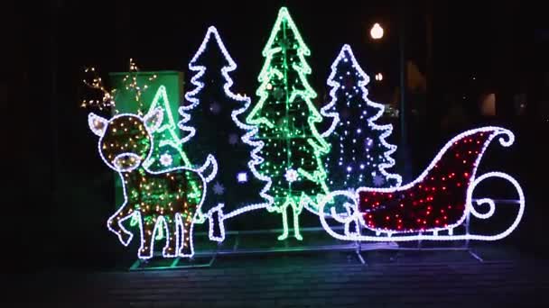 Gorky Park Verlichting Door Lichten Kerstboom Sneeuwvlokken Ballen — Stockvideo