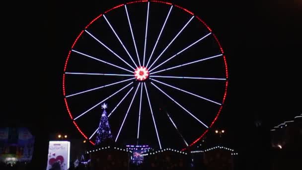 Gorky Park Belysning Bränder Nyårsbelysning Pariserhjul — Stockvideo