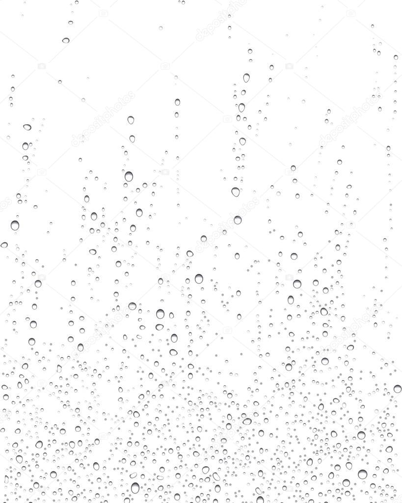 Drops of rain on window