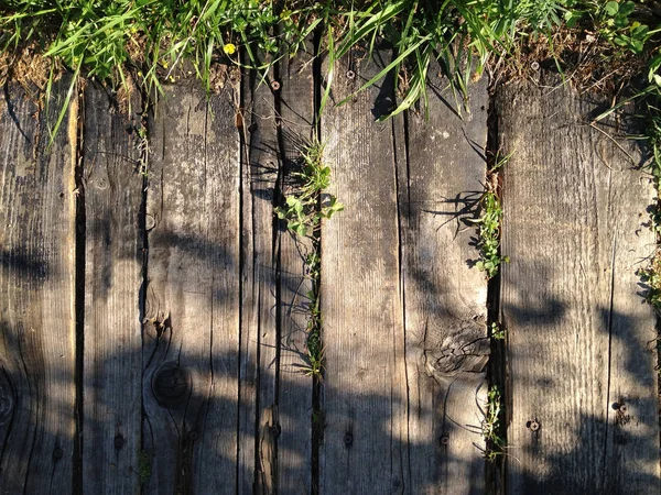 Textura de madeira com grama — Fotografia de Stock