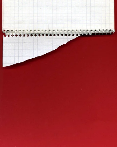 Cuaderno espiral abierto y papel desgarrado — Foto de Stock