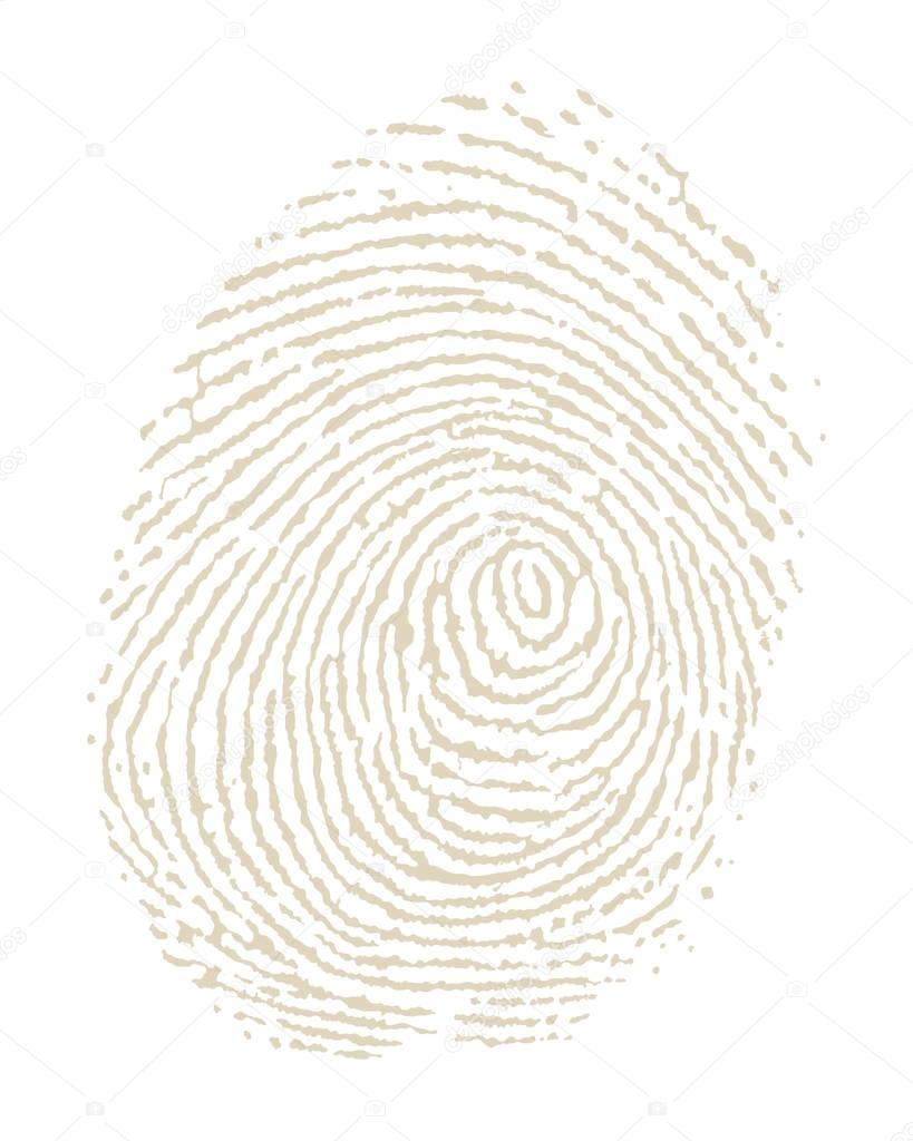 Illustration of fingerprint on white background