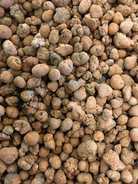 Closeup of a flat layer of clay pebbles - Leca - ExClay — Stock Image Closeup Flat Layer Clay Pebbles Leca Exclay Stock Picture