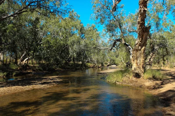 Small  creek on Mabel Downs Station — Stock Photo, Image