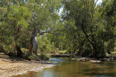 Mabel çıkışlar İstasyonu sakin creek