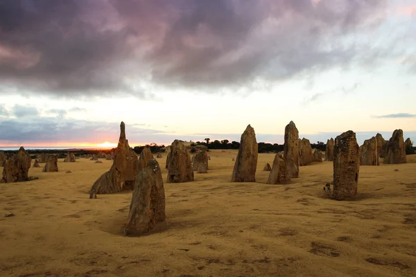 Pinnacles, limetone formasyonu Nambung Milli Parkı'nda, Batı Avustralya