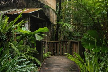 eski teneke ahşap yolunu tutacak