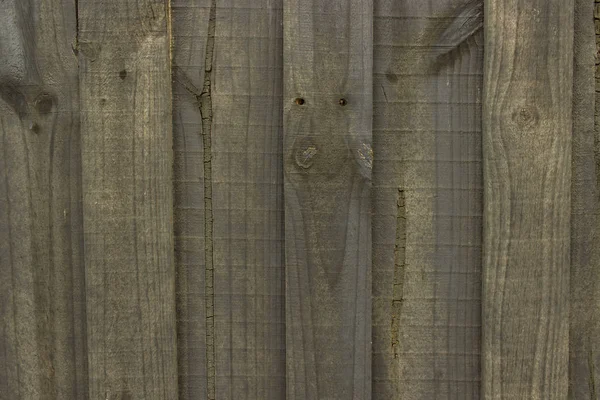 Timber fence palings as background — Stock Photo, Image