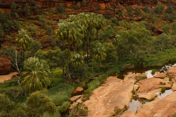 Palm Valley, Merkezi Avustralya