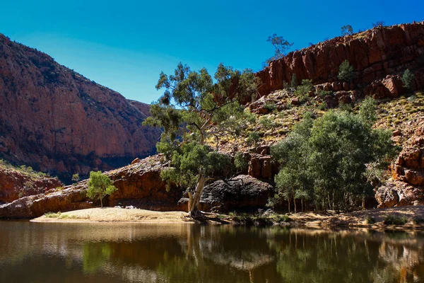 Ormiston Gorge, Merkezi Australis