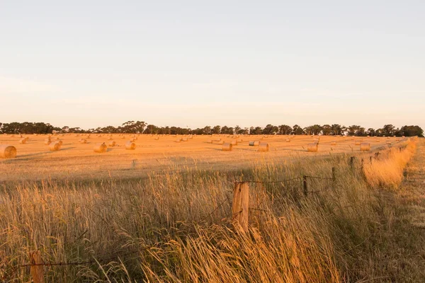 saman balya batımında ile alanın üzerinde uzun gölgeler