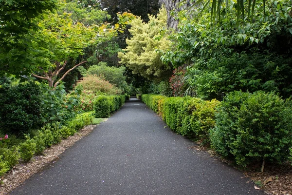 Sentier Pavé Dans Jardin Verdoyant Luxuriant Images De Stock Libres De Droits