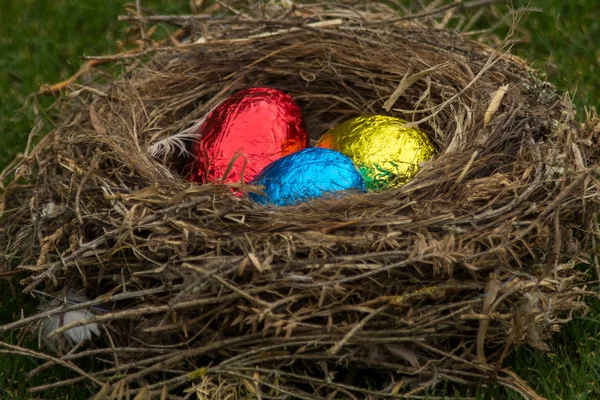bir kuş yuvada oturan çikolata Paskalya yumurtaları 