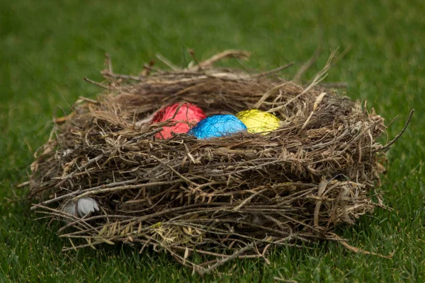 Chocolate Easter Eggs Sitting Birds Nest — Stock Photo, Image