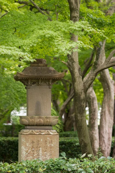 真如寺の石灯籠. — ストック写真
