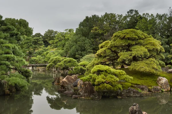 Nijo kale Ninomaru Garden'da ile köprü görünümü. — Stok fotoğraf