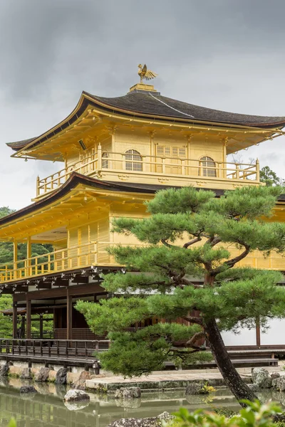 Close-up van de gouden tempel van Kinkaku-ji. — Stockfoto