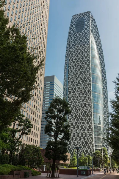 Koza binayı yere kadar.