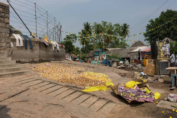 Citrusvruchten Pelt droog op grond in Dindigul. — Stockfoto