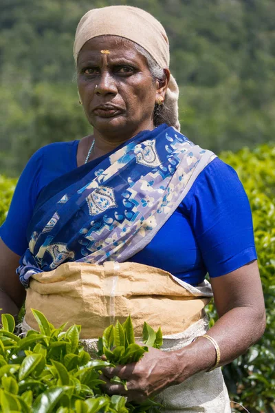 Porträt einer Frau in blauen Teeblättern. — Stockfoto